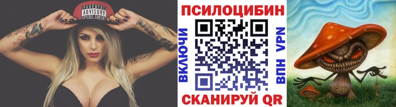 Псилоцибиновые грибы Cubensis  Ефремов 