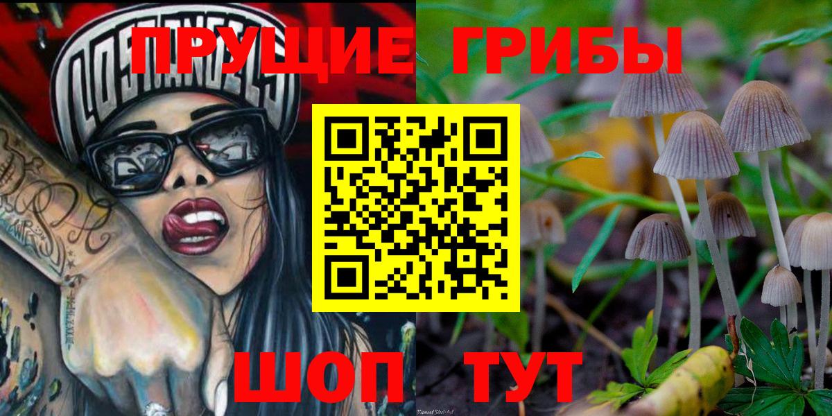 Псилоцибиновые грибы мухоморы Ефремов